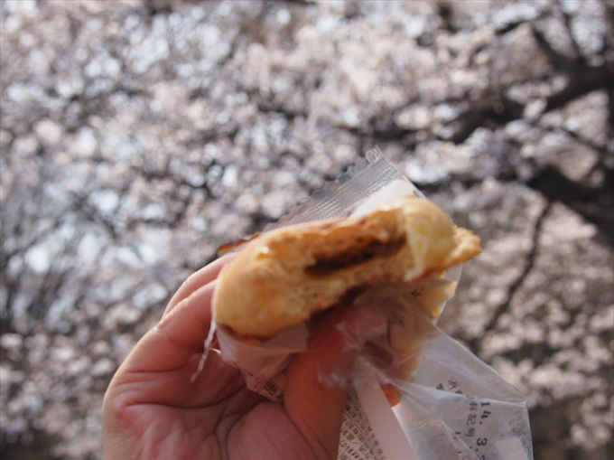 hanami01.jpg